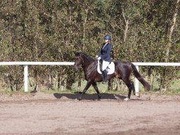 IMG_7807_web